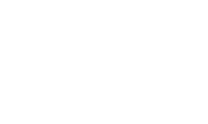 logo-big-white-PNG-300