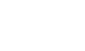 logo-big-white-PNG-300
